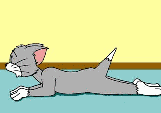 un chat qui viole un sourie